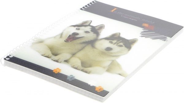 Блокнот А5 80 л E20318-99 Economix