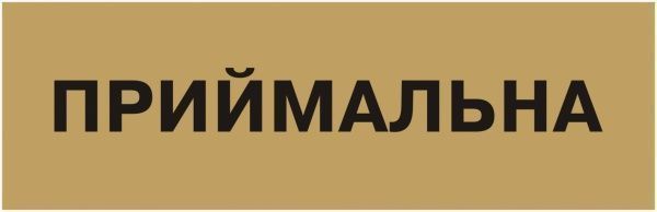 Табличка Приемная 250х80 мм латунь