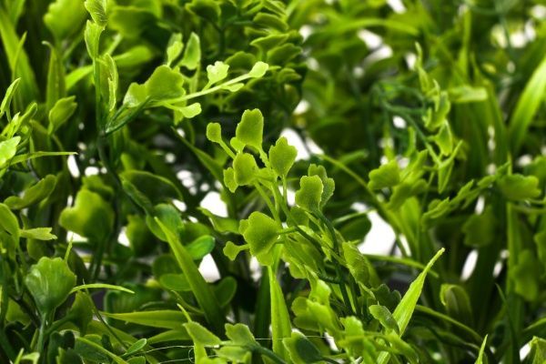 Штучний килимок Арахісова трава 50х54 см HONGYE E272-0190