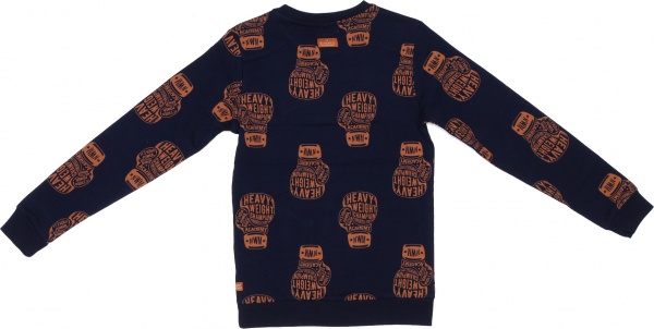 Джемпер для мальчика NWM Бокс р.158 синий с принтом U44230-1 