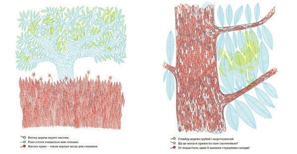 Книга-развивайка Айна Бестард «Что прячется в лесу?» 978-617-679-311-3