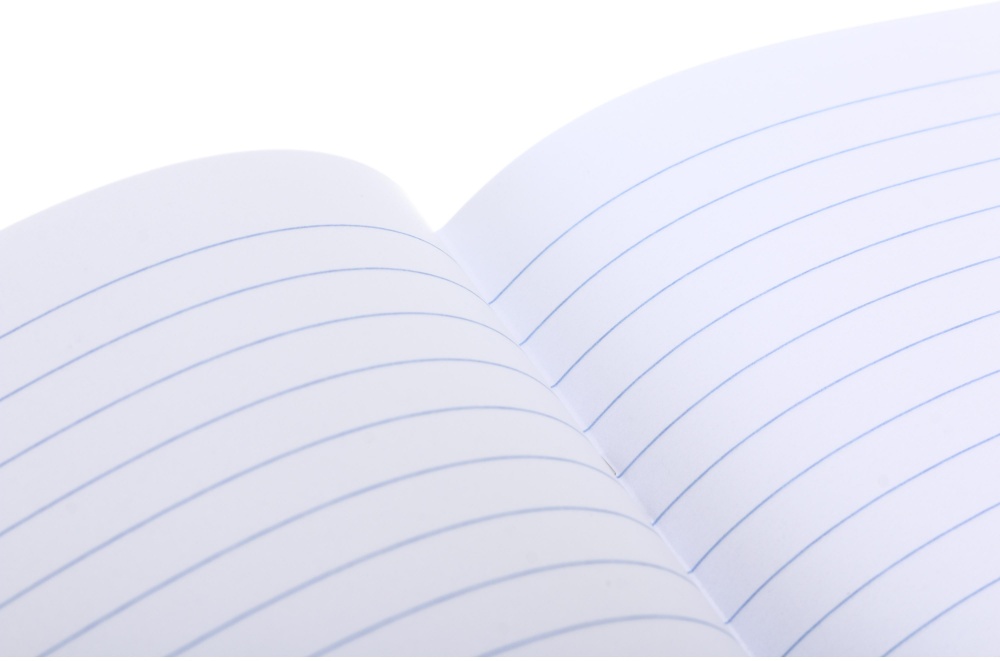 Тетрадь 12 листов в линию (2252547035016) Nota Bene