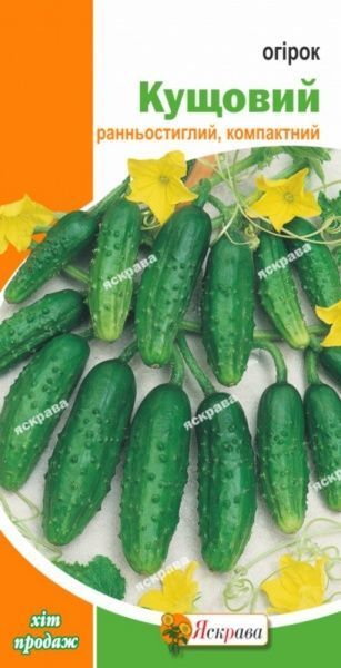 Насіння Яскрава огірок 1г