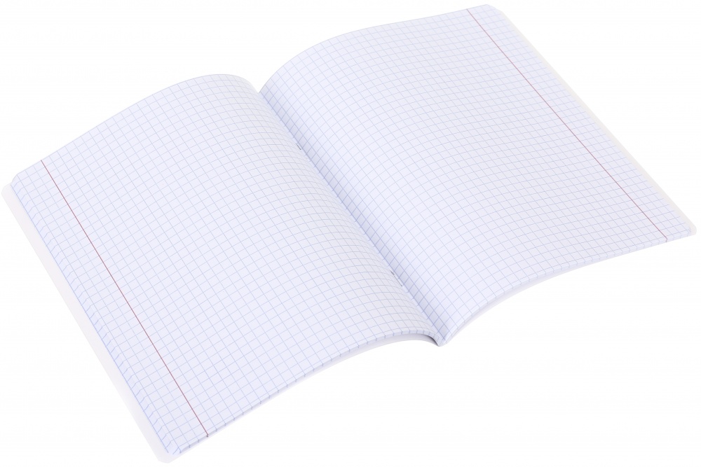 Тетрадь школьная Capybara_25 48 листов в клеточку Nota Bene