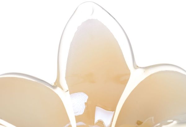 Свічник Flower Gig 6pt Honey 20х20х18 см White cristal