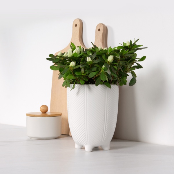 Кашпо керамическое МВМ DH-FLOWERS-28 M WHITE 14 см Белый 