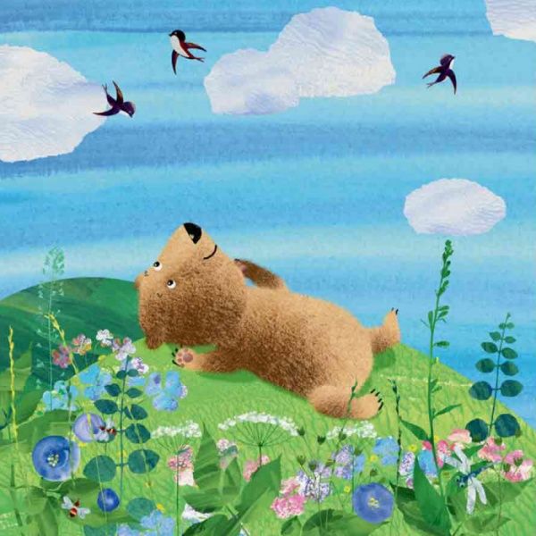 Книга Наталья Чуб «Дивовижні відкриття ведмедика Санні в лісі» 978-617-09-3655-4