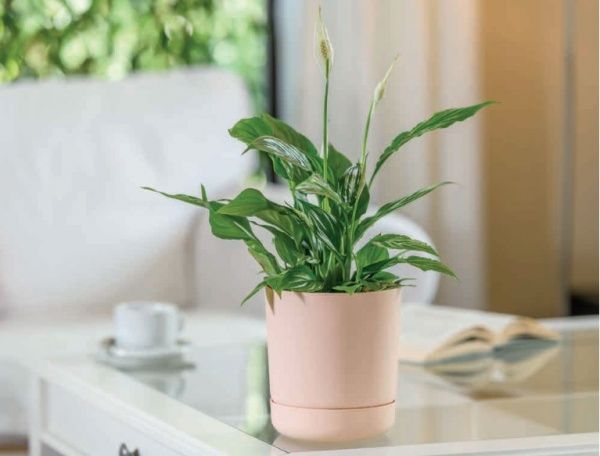 Горщик пластиковий Form Plastic Сатина-15 круглий 2,3 л нюд (4250-066) 