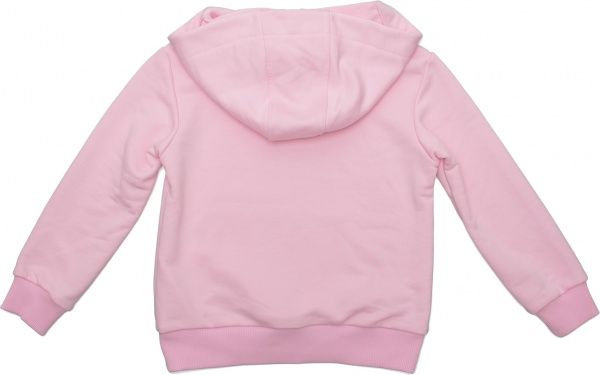 Реглан Sasha р.146 світло-рожевий 4580/2 