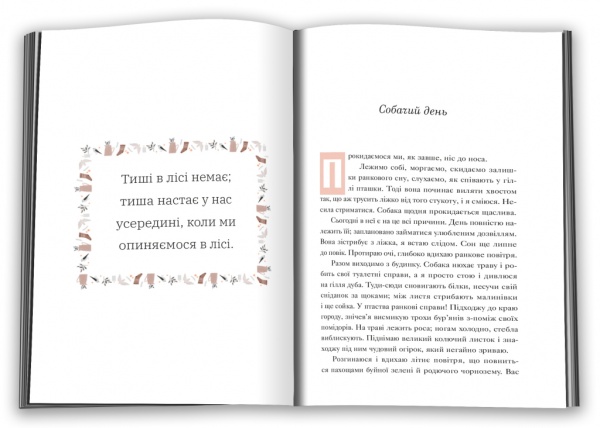 Книга Кэтрин Николай «Нічого особливого. Оповідки на добраніч» 978-966-948-742-1