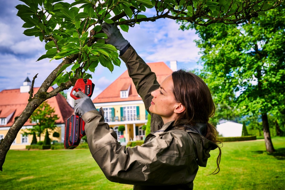 Секатор аккумуляторный Einhell Professional PXC GP-LS 18/28 Li BL Kit 2.5 Ah (3408320+4512097)