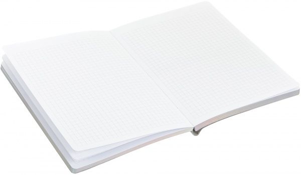 Книга для записей Шарм А5 96 л серебряный