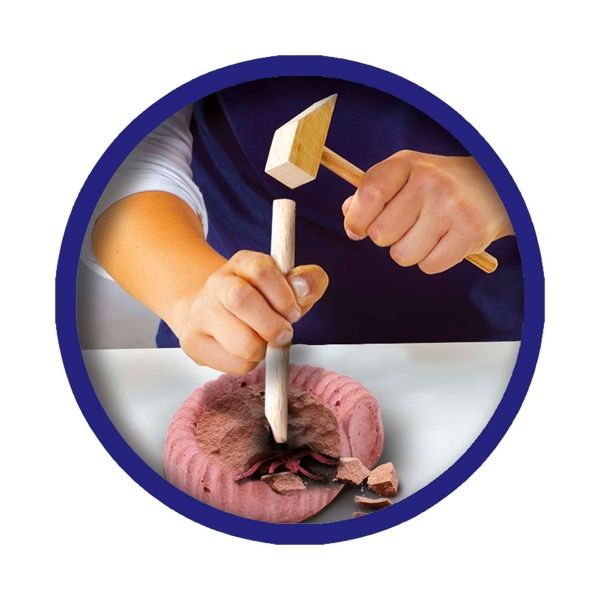 Набор SES серии Исследователь: Раскопки окаменелых насекомых 25066S