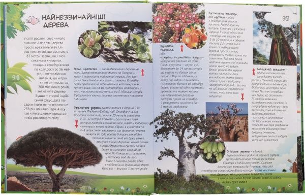 Книга Яна Батий «Велика енциклопедія молодшого школяра. Все про все» 978-617-09-2318-9