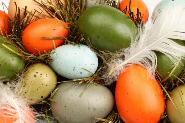 Венок из яиц WJ19062