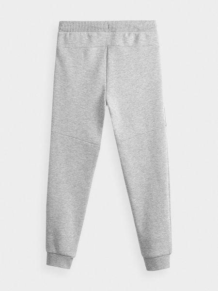 Брюки 4F J4Z20-JSPMD203-25M р. 152 серый