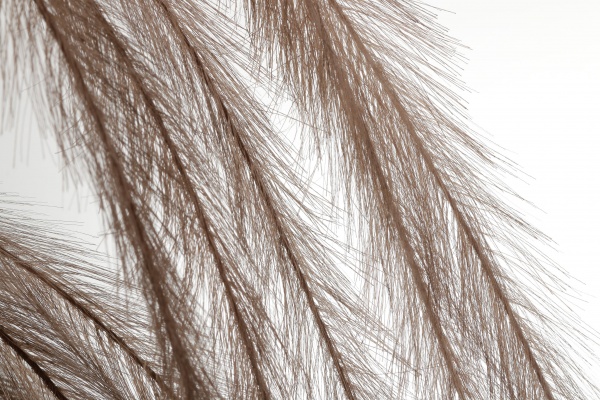 Гілочка декоративна 130 см темно-коричневий з пір’ям YZA000930