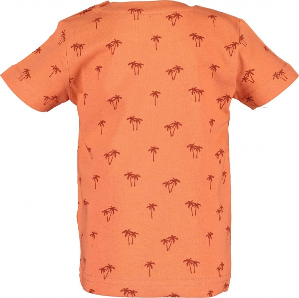 Футболка для мальчиков Blue Seven р.80 оранжевый 928119 X_234_р.80 