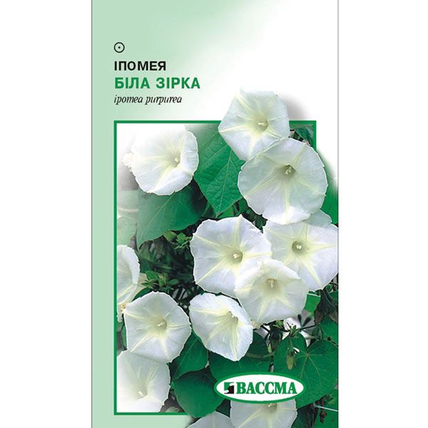 Семена Цветы Ипомея белая Звезда 1 г