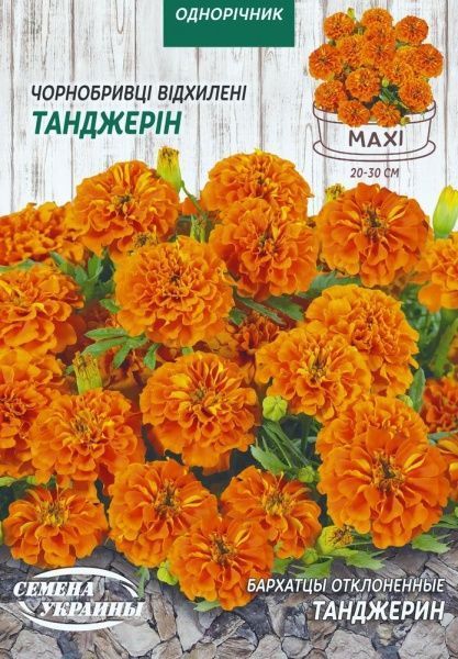 Насіння Семена Украины чорнобривці відхилені Танджерін 5 г