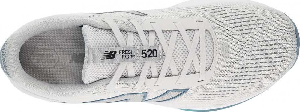 Кросівки чоловічі New Balance Fresh Foam 520 v9 M5206IE р.43 сірі