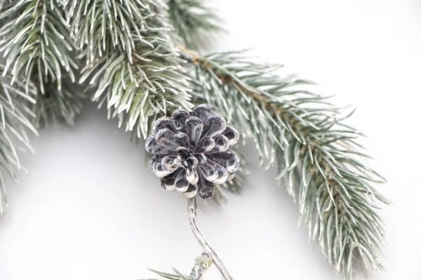 Декорация новогодняя Девилон Хвойная гирлянда 124х26х6 см, 170289 1,24