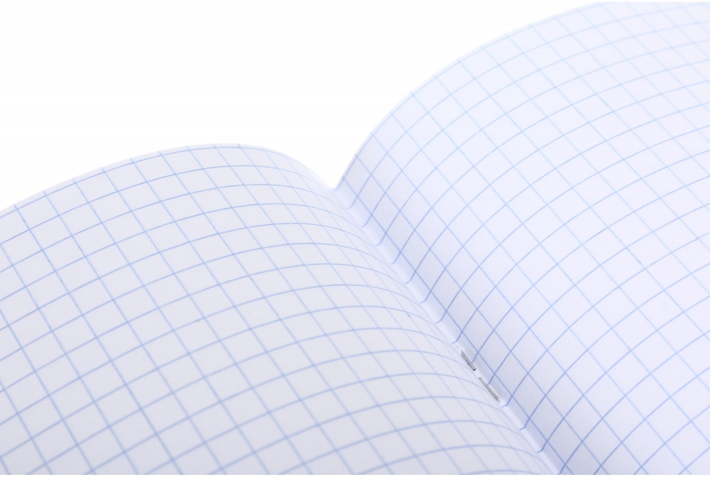 Тетрадь 96 листов в клеточку (2252547044018) Nota Bene