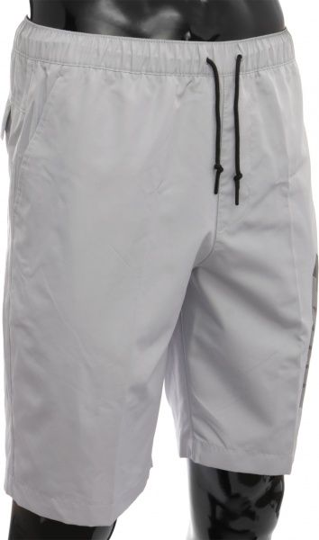 Шорти Nike Sweeper 727784-012 р. L сірий