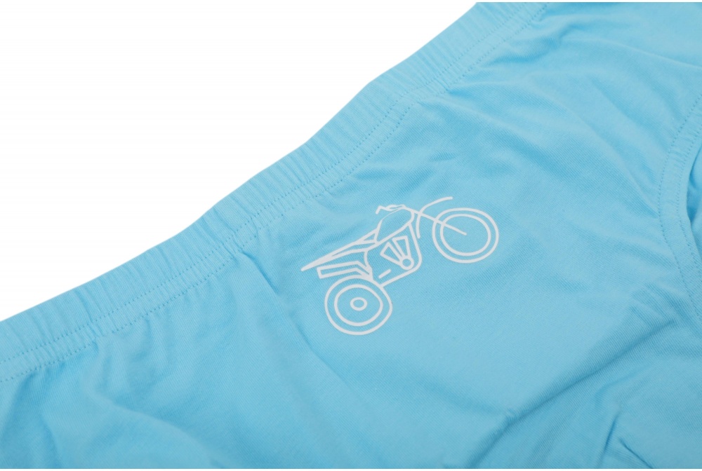 Набор трусов для мальчиков HW 3 пары р.146-152 голубой с синим P5-Q5