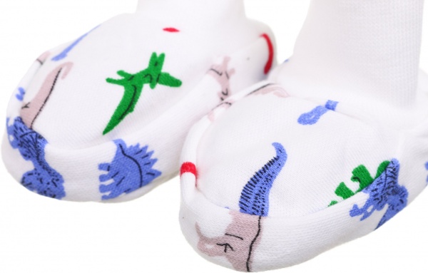 Пинетки Моя планета Динозавры Пн302-2 56 см різнокольоровий 