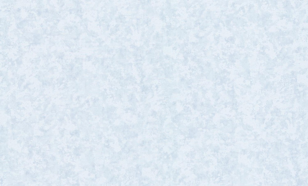 Шпалери вінілові на флізеліновій основі Bravo SIMPLE 515SP17 1,06x10,05 м