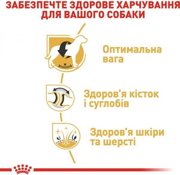 Корм Royal Canin для собак LABRADOR RETRIEVER ADULT 12 кг