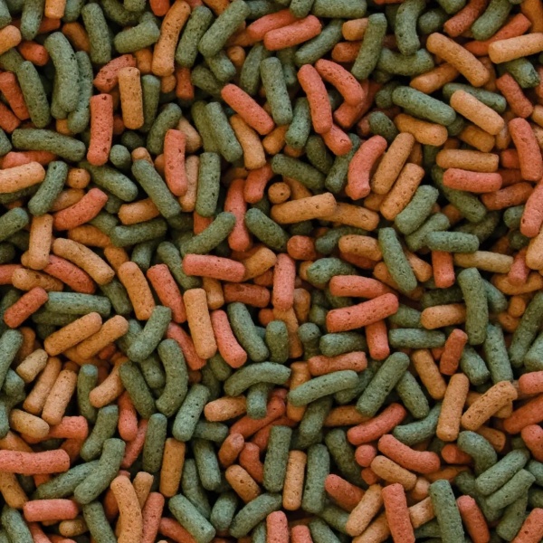 Корм Tropical сухий для водоплавних черепах в паличках Biorept W 5 л (11368)