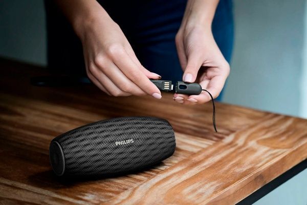 Акустическая система Philips BT6900B/00 1.0 black 