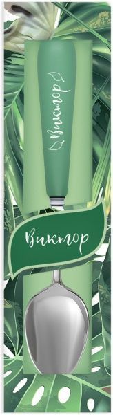 Ложка именная Флора 027-Виктор Be Happy