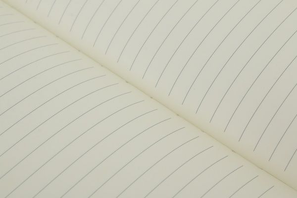 Книга для нотаток Зайченя А5 в лінію на 80 аркушів