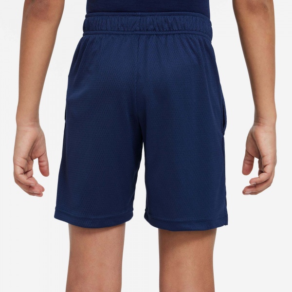 Шорты Nike DF HBR SHORT DM8537-410 р. S синий