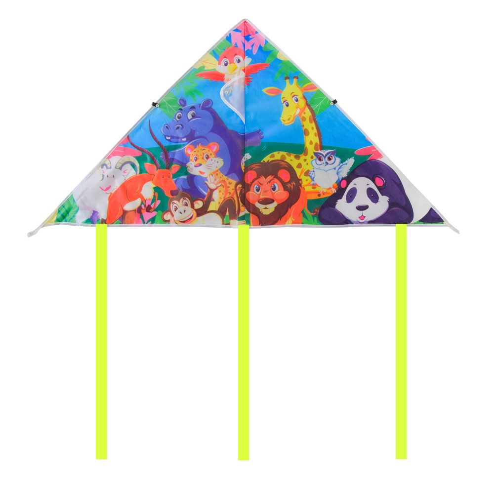 Воздушный змей Shantou VZ2472