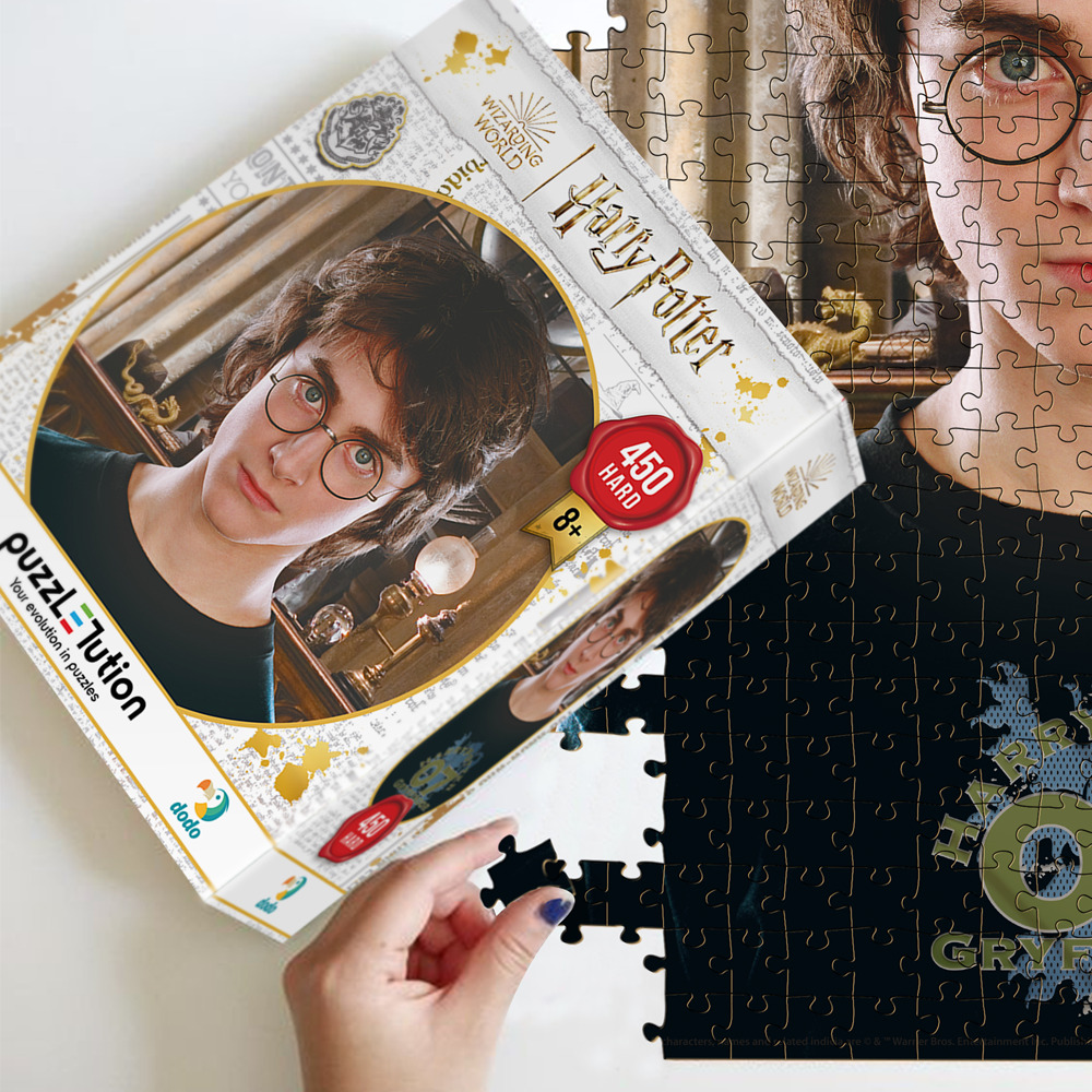 Пазл DoDo Hard-M Harry Potter. Портрет Гарри 450 элементов 200576