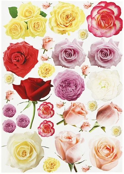 Набор текстурного картона Флора и Фауна А4 10 листов Лунапак