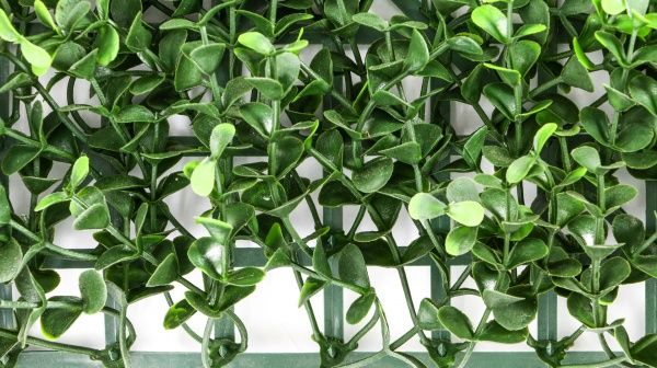 Декоративное зеленое покрытие Engard Самшит 50х50 см GCK-03