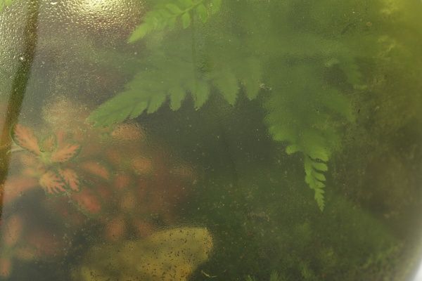 Тераріум в лампі 24x40 см