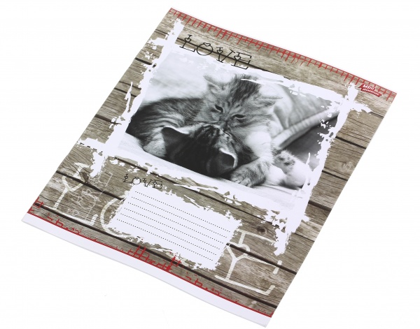 Зошит шкільний 12 аркушів у лінійку дизайн в асортименті Мрії збуваються