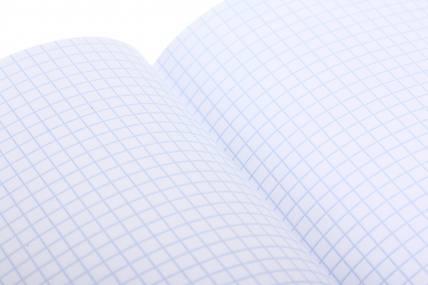 Зошит шкільний 24 аркуша у клітинку в асортименті Мрії збуваються