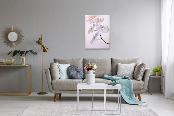 Репродукция Флористика. Орхидея 48x67 см 