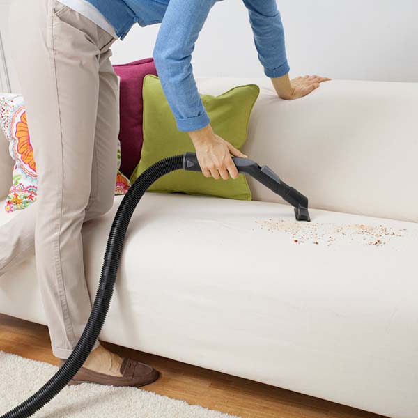 Пылесос Karcher DS 6.000 Mediclean RU 