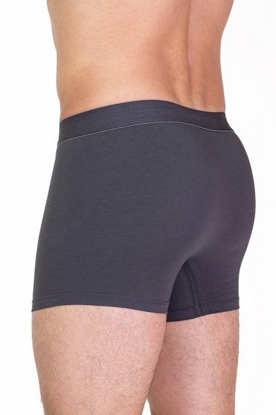 Трусы-шорты мужские KOSTA XXXL (54) серый