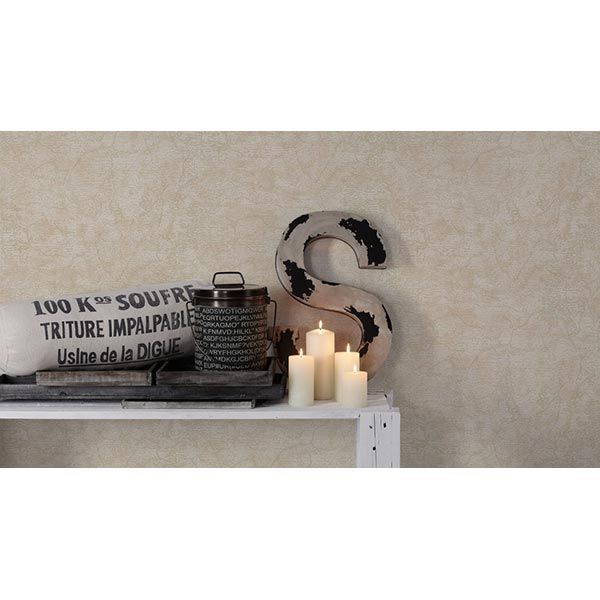 As Creation Dekora Natur 6 95896-2 0.53x10.05 м