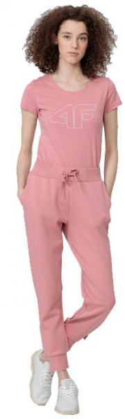 Брюки 4F H4L22-SPDD350-56S р. 2XL розовый