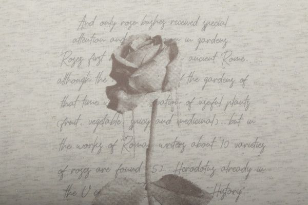 Дитяча футболка Фламінго р.80 молочний 732-430-5 